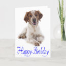 Search for brittany spaniel Puppies
