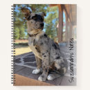 Search for replace photo Dog