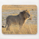 Search for lion mousepads Cat