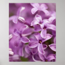 Search for formal garden posters Nature