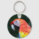 Search for parakeet key rings Birds