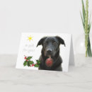Search for lab christmas cards Dog lover christmas