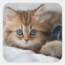 Search for one eye stickers Close up