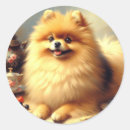 Search for pomeranian art stickers Puppy