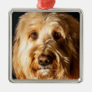 Search for golden doodle christmas tree decorations Poodle