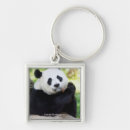 Search for giant key rings Animal photography