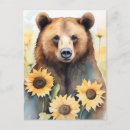 Search for sunflower lover postcards Nature