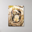 Search for young animal canvas prints Squirrel family