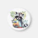 Search for racoon magnets Summer