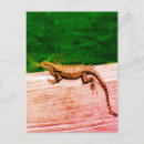 Search for cuban postcards Florida