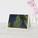 Search for plant christmas cards Festive