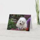Search for poodle birthday cards Pet