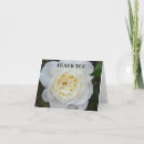 Search for white rose cards Simple