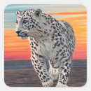 Search for black white leopard stickers Cheetah