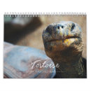 Search for galapagos calendars Turtle