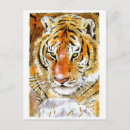 Search for snow tiger postcards Cat