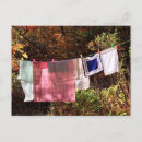 Search for clothesline postcards Country