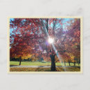 Search for autumn leaf postcards October