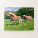 Search for funny horse puzzles Cute