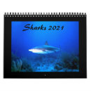Search for shark calendars Ocean