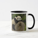Search for baby panda mugs Sichuan province