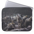 Search for the wolf pack electronics Wildlife