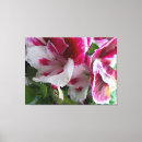 Search for geranium canvas prints Floral