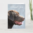 Search for labrador thank you cards Dog
