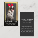 Search for pet photography business cards Photographer