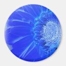 Search for gerberas magnets Blue