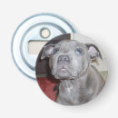 Search for big eyes barware Dog