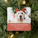 Search for loss pet memorial ornaments Modern