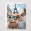 Search for cool cat invitations Cats