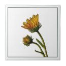 Search for bud tiles Botanical