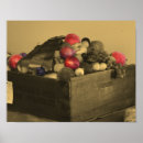 Search for prize posters Photography