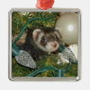 Search for pet ferret christmas tree decorations Funny