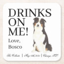 Search for aussie barware Australian shepherd