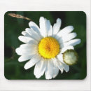 Search for and white daisy mousepads Flowers