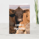 Search for bad mother cards Funny