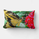 Search for photo of butterfly Photography