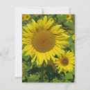 Search for sun flower invitations Nature