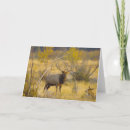 Search for elk cards Colorado