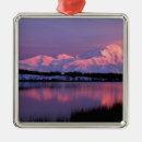 Search for dusk christmas tree decorations Landscape