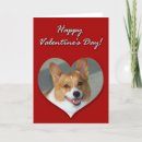 Search for corgi valentines day cards Pet