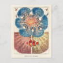 Search for caroling postcards Vintage
