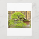 Search for holidays vertical postcards Nature