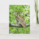 Search for owl bird cards Birds