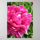 Search for practical art Pink