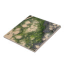 Search for sandstone formation tiles Rock
