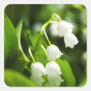 Search for spring valley stickers Lily